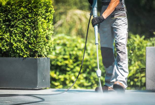 Best Fleet Vehicle Washing  in Lawtey, FL